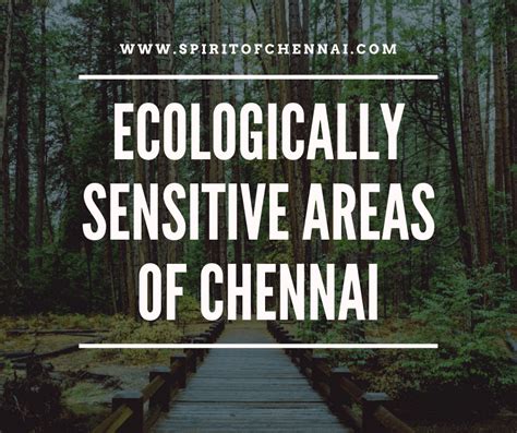 Ecologically Sensitive Areas Of Chennai Reserve Forest Crz Marsh