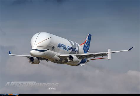 Airbus Beluga Xl Large Preview