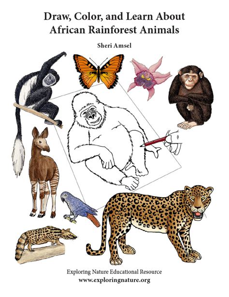 Draw Color And Learn About African Rainforest Animals Downloadable