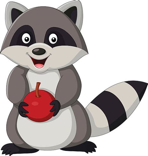 Best Raccoon Clip Art Illustrations Royalty Free Vector Graphics