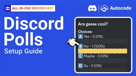 How To Make A Poll On Discord Discord Poll Bot Youtube