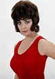 linda thorson actress – linda thorson biography – TURJN