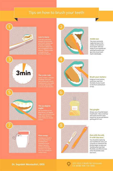 Brushing Your Teeth Infographic Infographic Infographic Plaza
