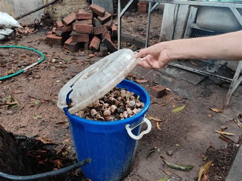 How To Produce Biogas From Kitchen Waste And Reduce Your Lpg Bills