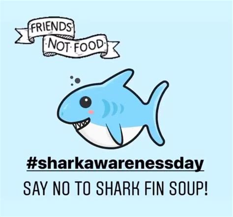 Shark Awareness Day July 14 2020 Hong Kong Shark Foundation