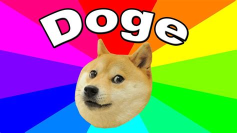 Funny Doge Memes