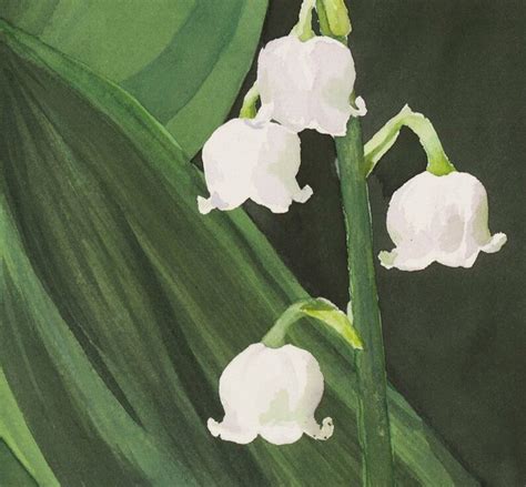 Lily Of The Valley X Watercolor Print Floral Flower Etsy