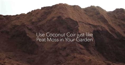 Maybe you would like to learn more about one of these? Coconut Coir: What Is Coco Coir And How To Use It In The ...