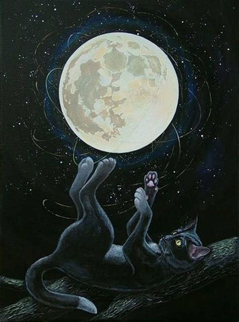 Art Moon Pictures Of Cats Inkmetaphor