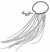 Jellyfish Deviantart Stats Downloads sketch template