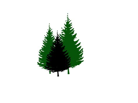 Evergreen Tree Clip Art Clipart Best