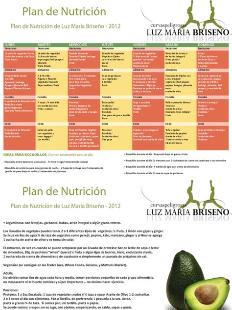 Plan De Nutricion Luz Maria Briseno 2012 Pdf Ensalada Almuerzo