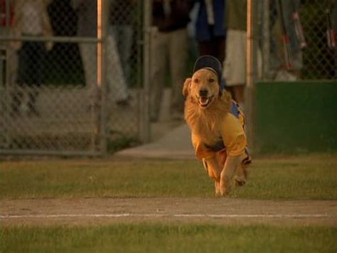 Air Bud Seventh Inning Fetch 2002 Animation Screencaps