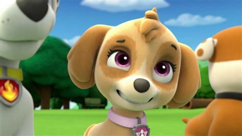 Saison 1 Episode 5 26 Paw Patrol La Patpatrouille Télé 2 Semaines