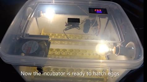 Diy Egg Incubator Homemade How To Make An Egg Incubator At Home Egg Hatching Machine Youtube