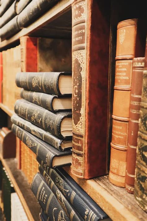 Best 500 Library Pictures Hd Download Free Images On Unsplash