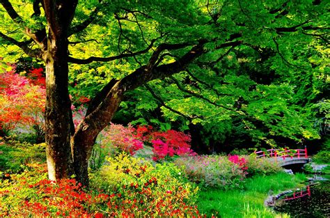 View Nature Garden Android Wallpaper Pics