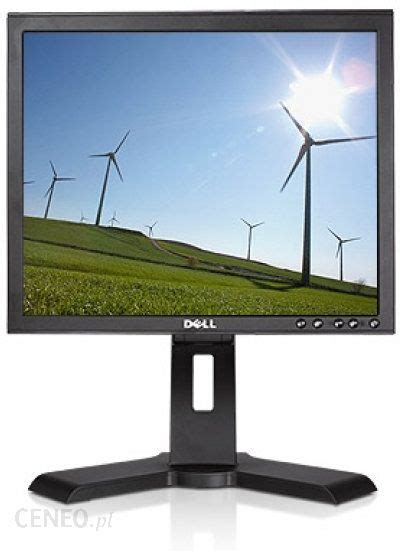 Monitor Dell P170s Opinie I Ceny Na Ceneopl