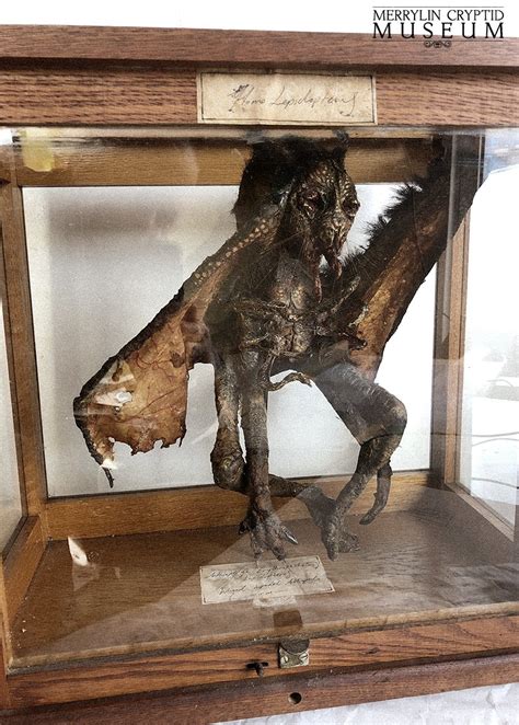 The Mothman — Merrylin Cryptid Museum