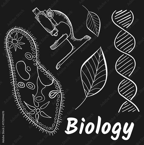School Subjects Biology Stock Illustration Adobe Stock