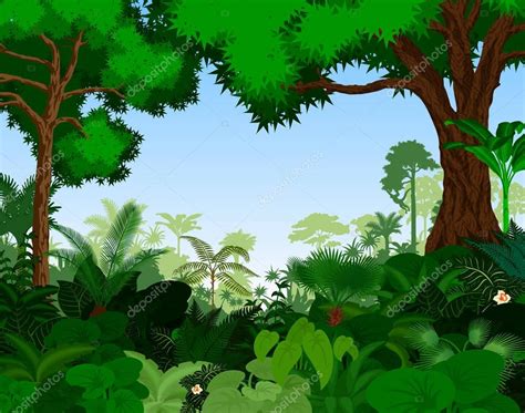 Rainforest Vector Illustration Vector Tropical Forest Jungle — Stock