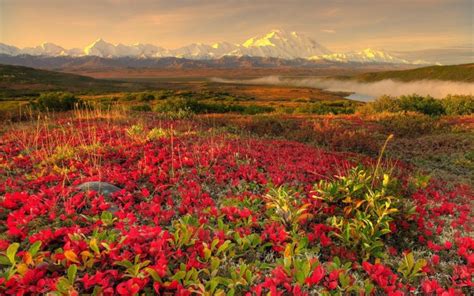 Landscape Nature Beautiful Look View Area Landsapes Sky