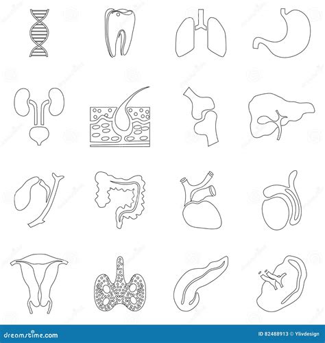 Iconos Fijados Estilo De Los órganos Internos Del Esquema Ilustración