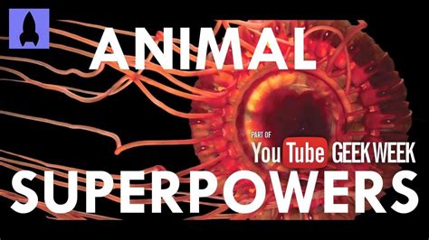 Video S1 Ep14 Amazing Animal Superpowers Watch Its Okay To Be