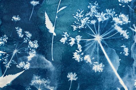 The Complete Guide To Cyanotype Printing Gathered Gathered