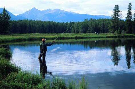 Fly Fishing In Rocky Mountain National Park Photograph By Peter Skiba