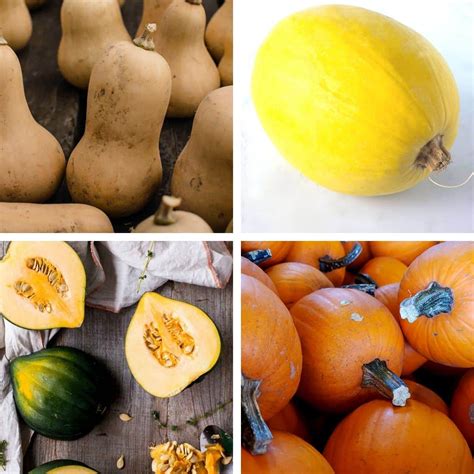 Winter Squash Guide How To Choose Cook And Store 7 Popular Varieties