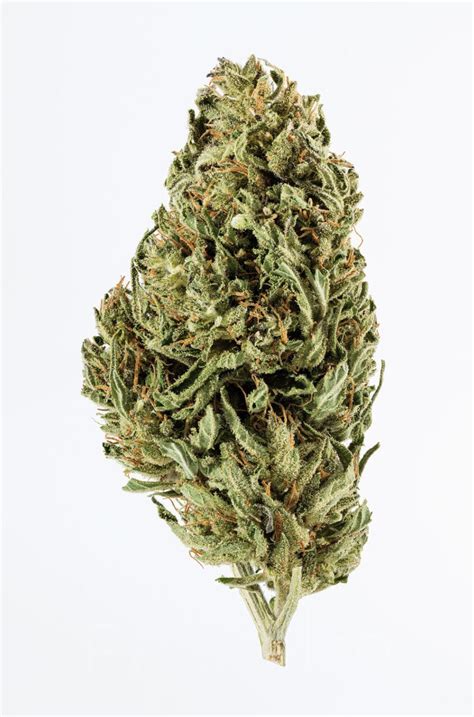 You can select a strain with different effects and flavors. Harle-Tsu CBD Hemp Flower: 12.8% CBD | Plain Jane