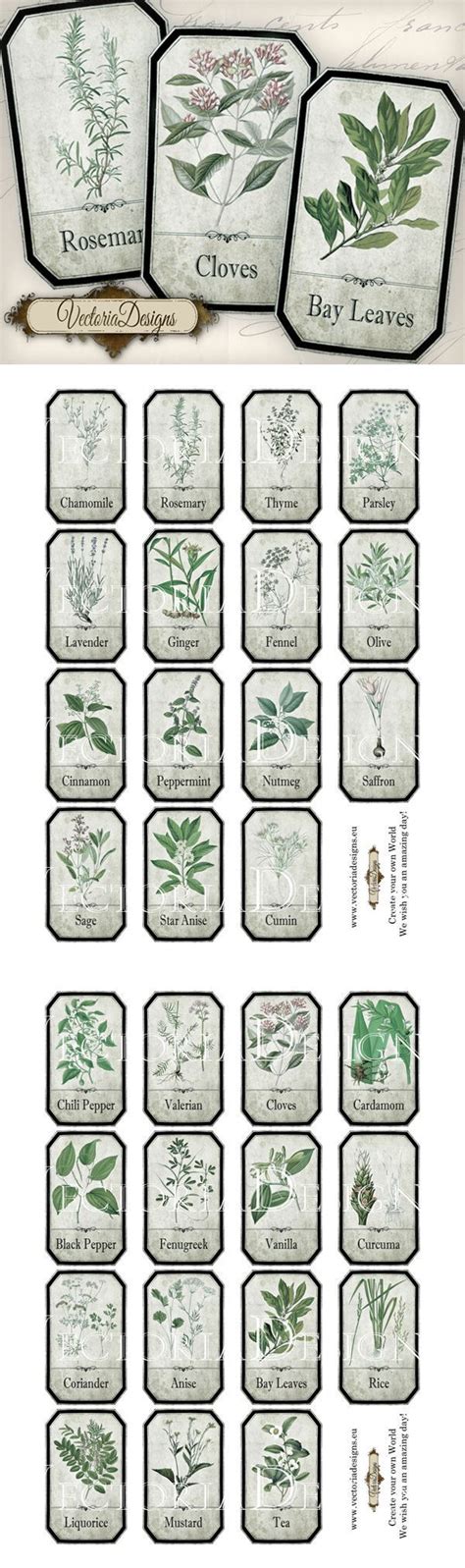 Printable Shabby Herbal Labels Herbalism Printable Labels
