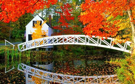 Autumn Countryside House Colors Beautiful Reflection Branches
