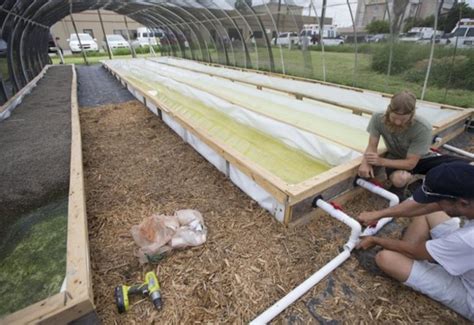 We breakdown food benefits programs by city and county across texas and rank communities with the highest and lowest concentrations of residents. Food Bank in Corpus Christi | Aquaponics, Backyard ...