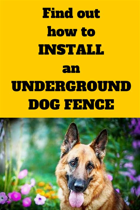 Moreover an invisible dog fence is a great alternative to expensive and heavy traditional fences. How To Install An Underground Dog Fence | Dig Your Dog