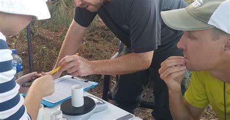 Kiawah Island Banding Station Fos For Both Sites