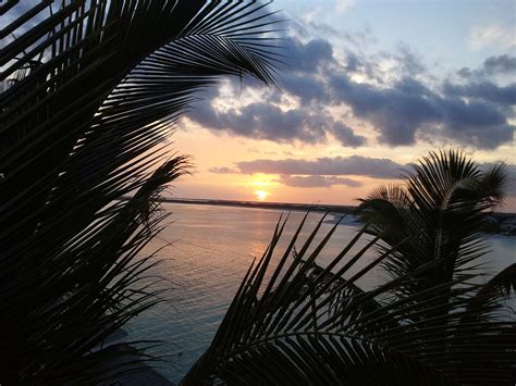 Sunset on Abaco, Bahamas | Sunset, Favorite places, Vacation