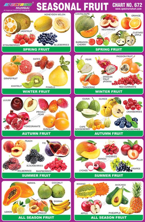 Vegetables And Fruits In Season Chart