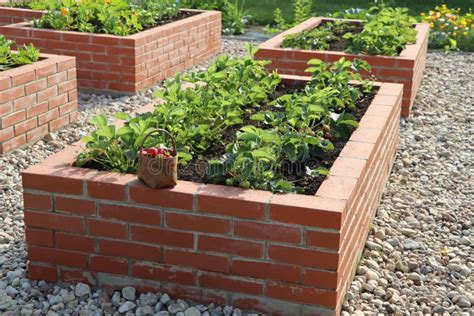 A Modern Vegetable Garden With Raised Briks Beds Raised Beds
