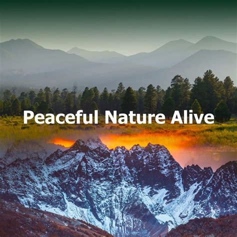 Peaceful Nature Alive Album By Peaceful Nature Music Spotify