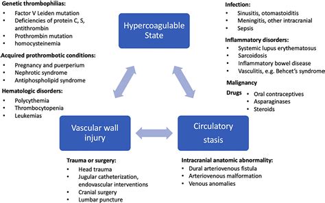 Postpartum Hemorrhage Concept Map