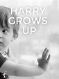 Harry Grows Up (2012)