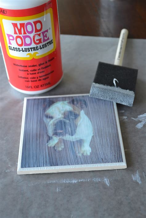 The Bloated Bride Diy Photo Coasters