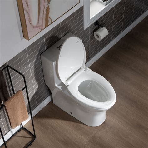 Woodbridge Elite White Dual Flush Elongated Chair Height Watersense