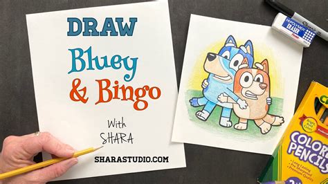 How To Draw Bluey And Bingo Youtube