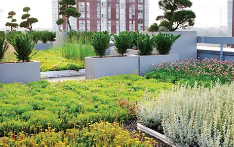Green Roofs As Wildlife Habitats In Urban Landscapes