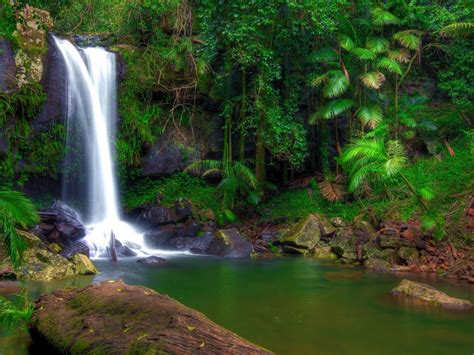 Wonderful Tropical Waterfall In Jungle Green Vegetation