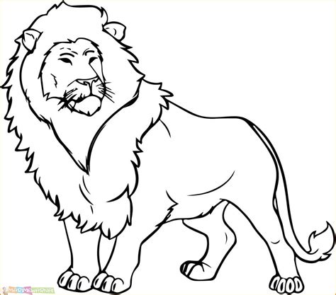 Gambar Mewarnai Hewan Singa Untuk Anak Anak Pkl 2022