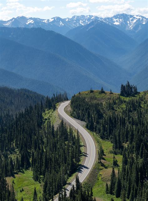 Olympic National Park Washington Hurricane Ridge